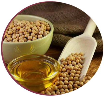 Crude Soya