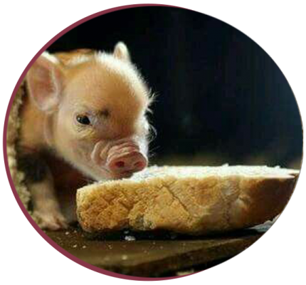 bread-1