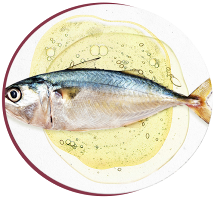 fishmeal