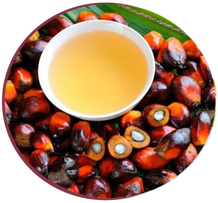 palmoil